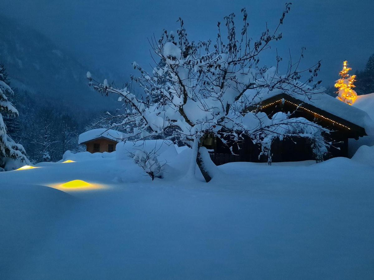 شقة Chalet Edelweiss بفرونتن المظهر الخارجي الصورة